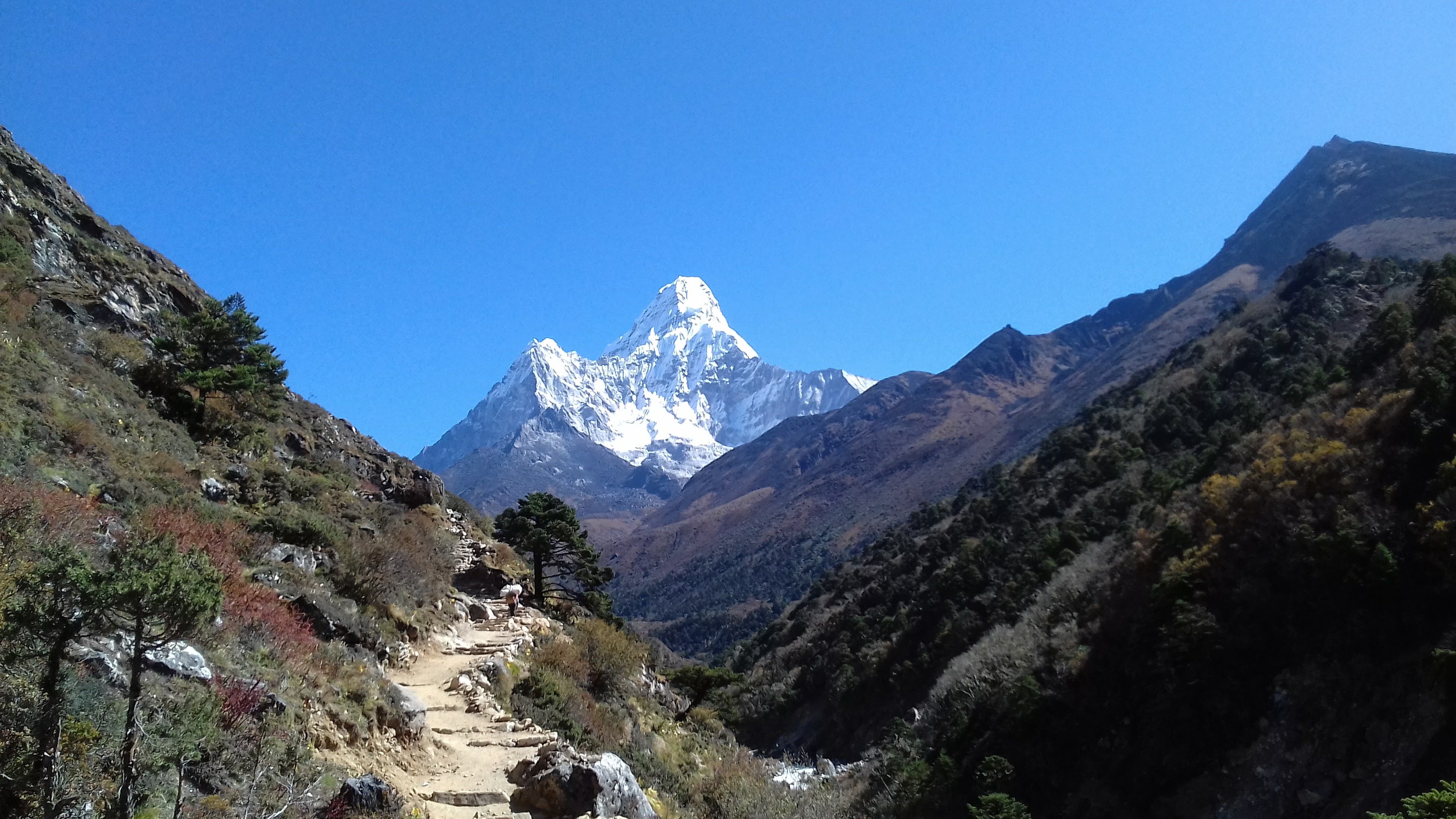 Top 10 Short Treks in Nepal for Every Type of Trekker