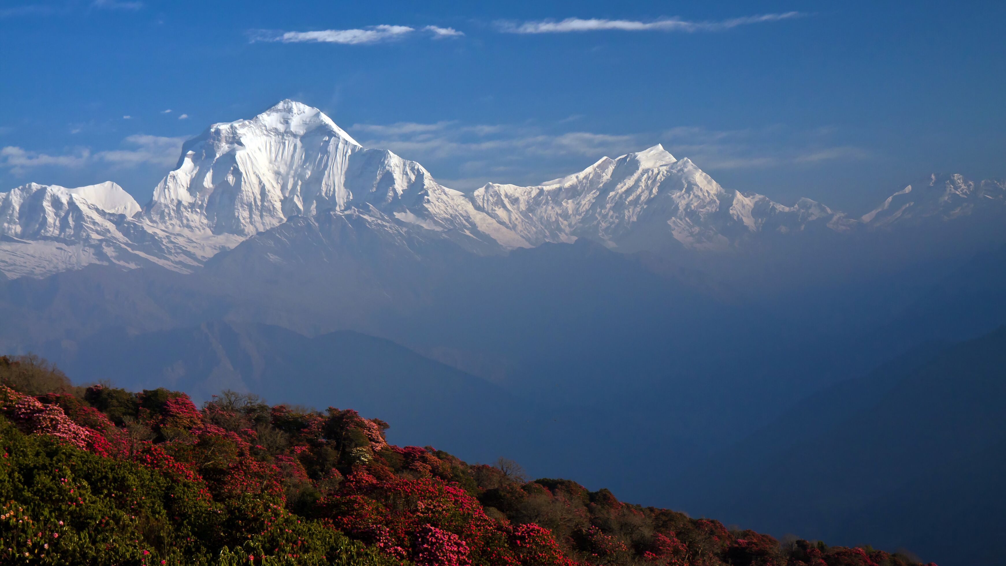 Poon Hill Trek