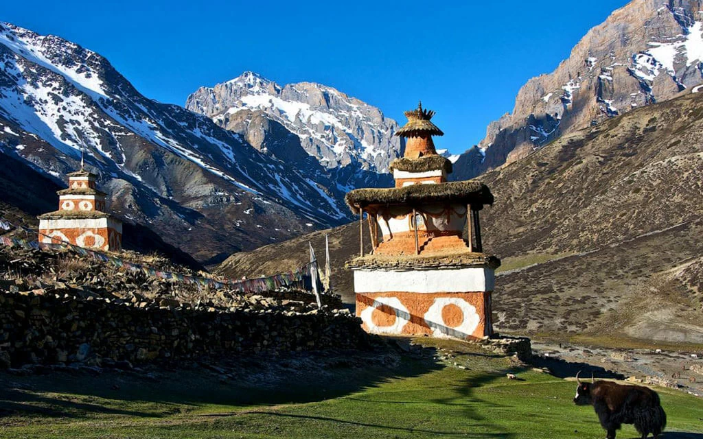 Dolpo Region Treking